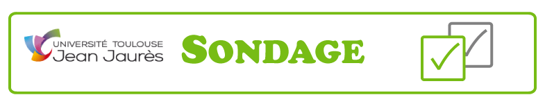 Questionnaire Mémoire M2 HPI